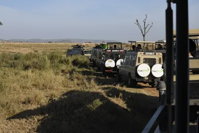 DSC_3816 (Large).JPG